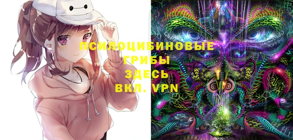 индика Дмитров