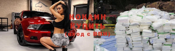 прущая мука Дмитриев