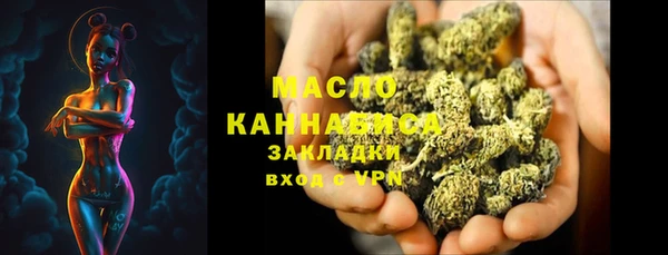 индика Дмитров