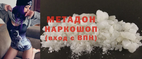 индика Дмитров