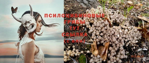 прущая мука Дмитриев