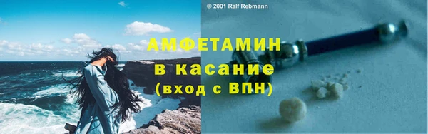 индика Дмитров
