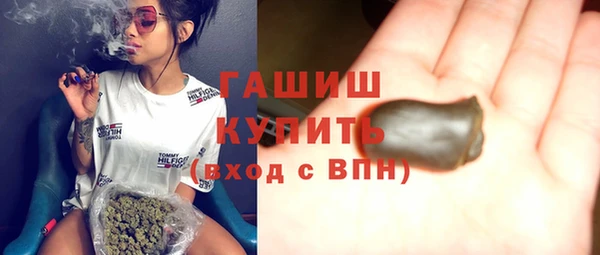 индика Дмитров
