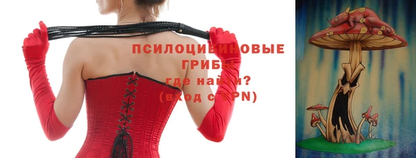 прущая мука Дмитриев