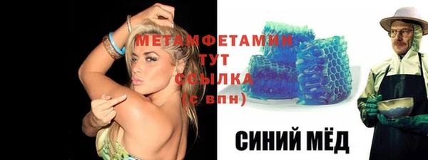 индика Дмитров