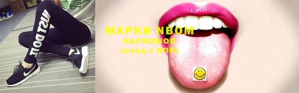 индика Дмитров