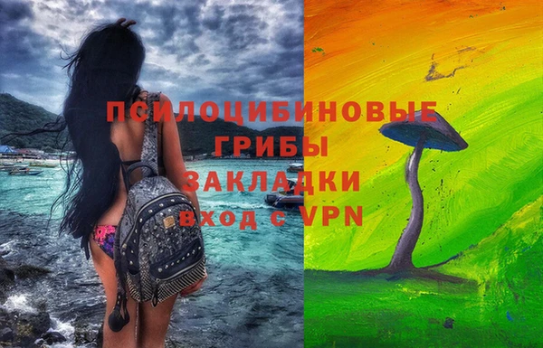 прущая мука Дмитриев
