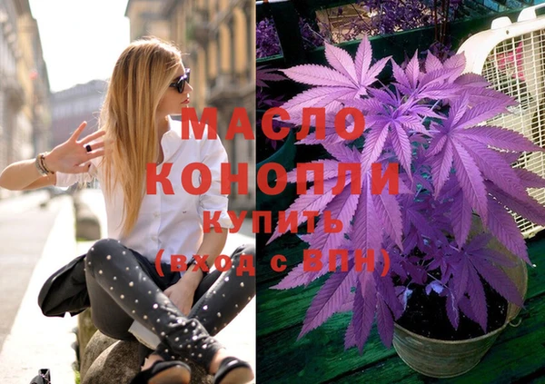 индика Дмитров