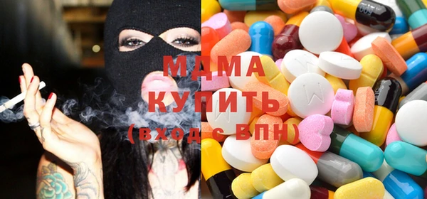 индика Дмитров