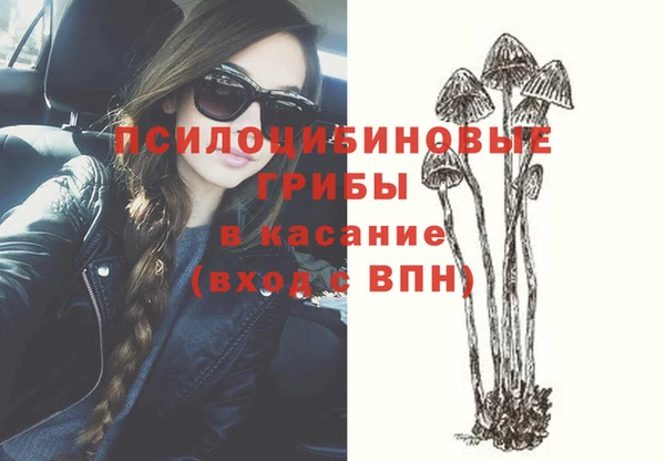 прущая мука Дмитриев