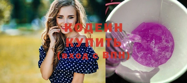 индика Дмитров