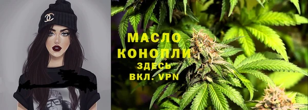 индика Дмитров