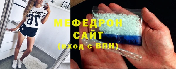 индика Дмитров