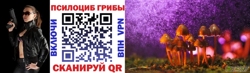 Псилоцибиновые грибы MAGIC MUSHROOMS  закладки  Чкаловск 